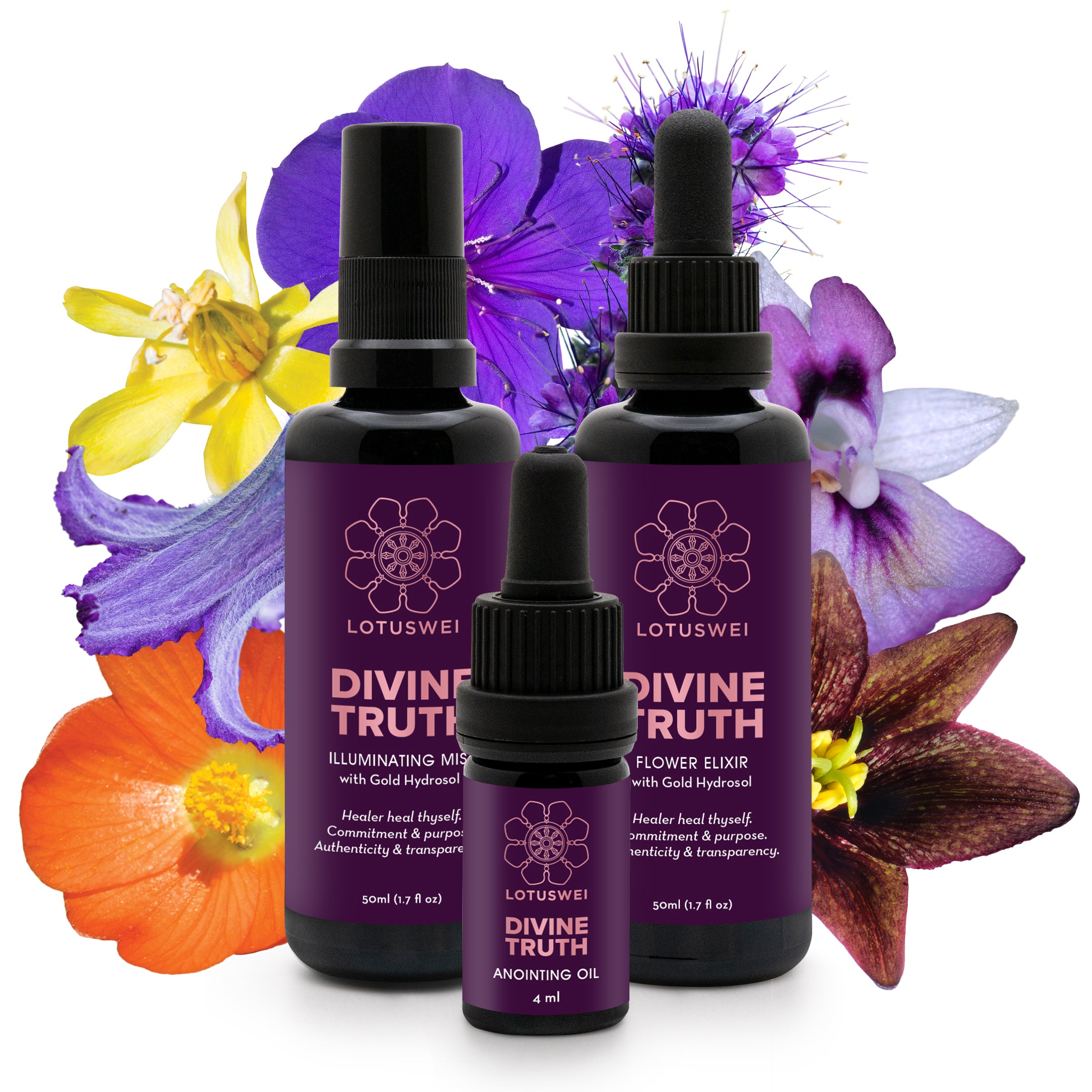 Divine Truth Bundle