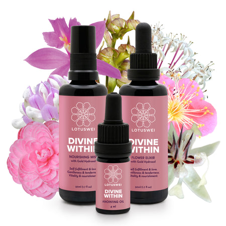 Divine Within Bundle