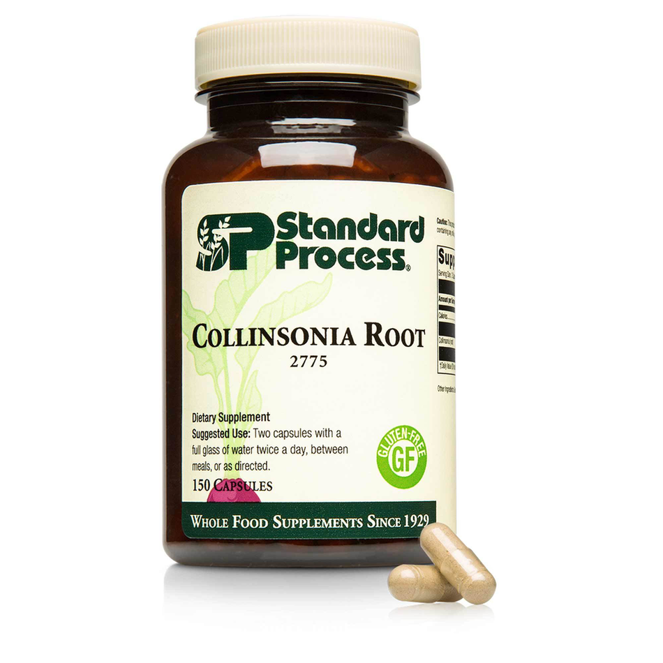 Collinsonia Root